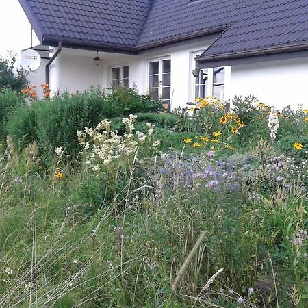 Bizon Pensionat Sadowne Exteriör bild