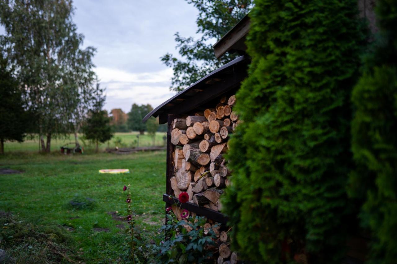 Bizon Pensionat Sadowne Exteriör bild