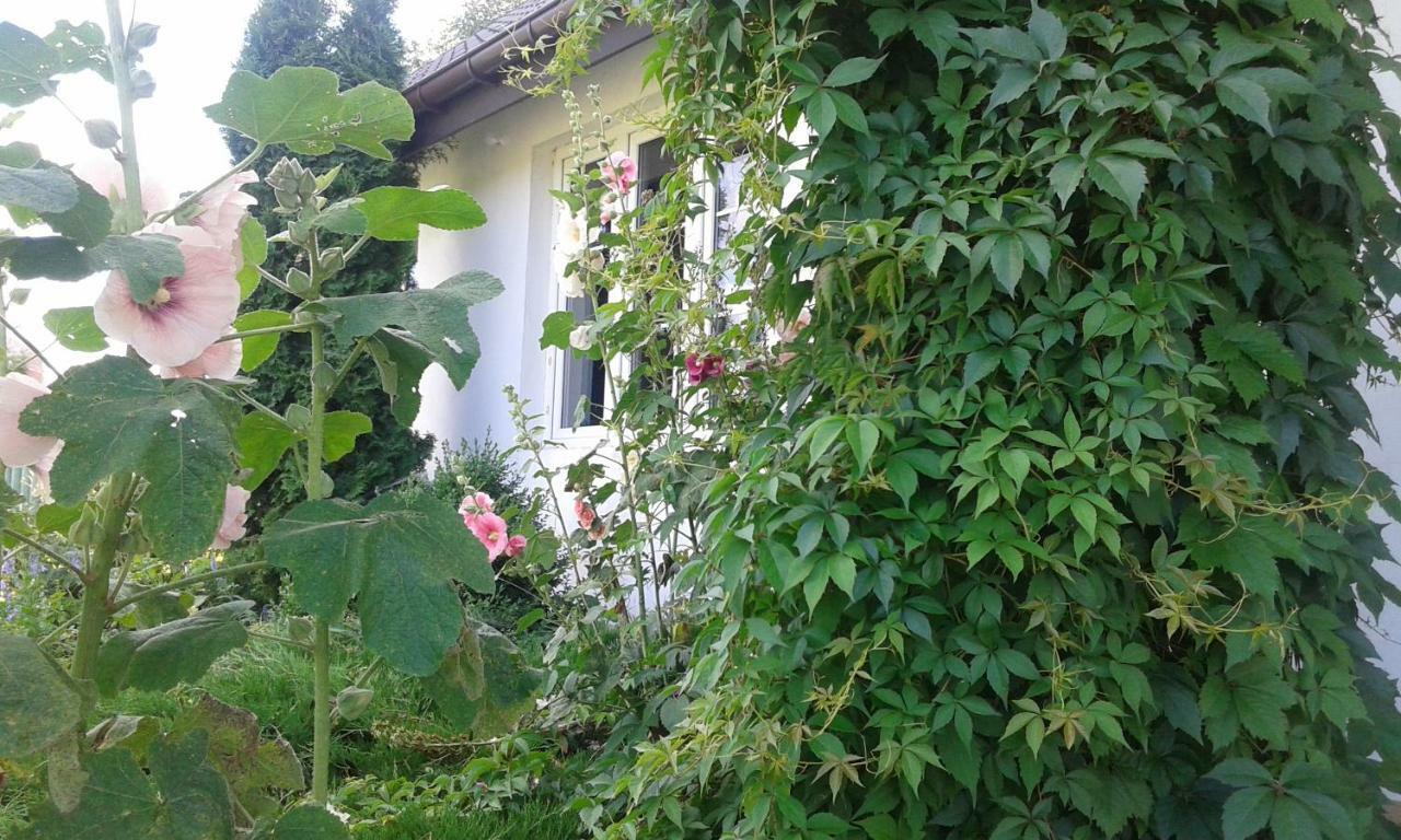 Bizon Pensionat Sadowne Exteriör bild