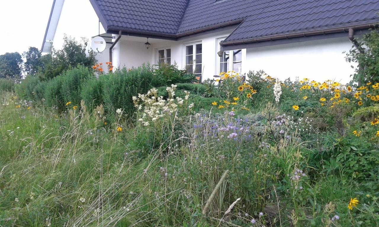 Bizon Pensionat Sadowne Exteriör bild