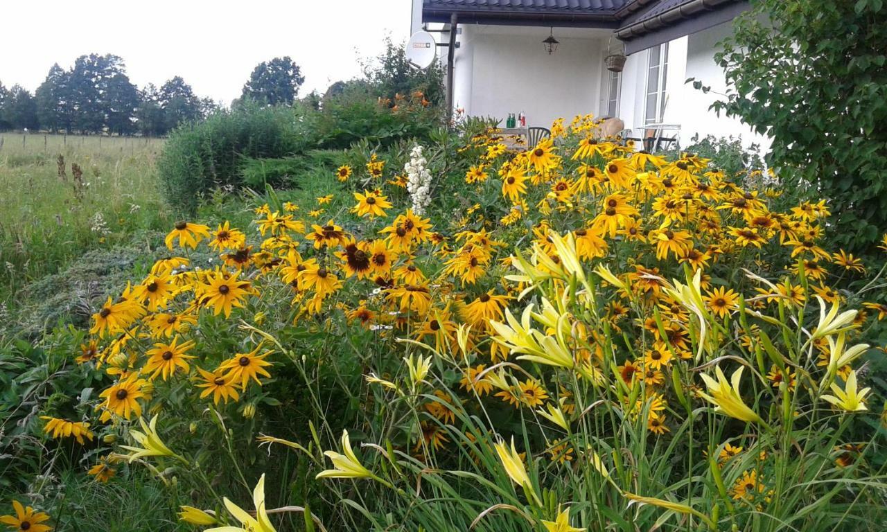 Bizon Pensionat Sadowne Exteriör bild